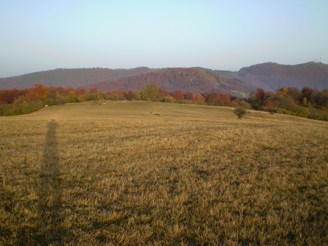Gola planina