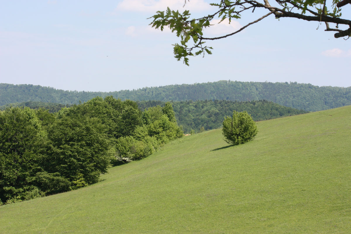 Gola planina