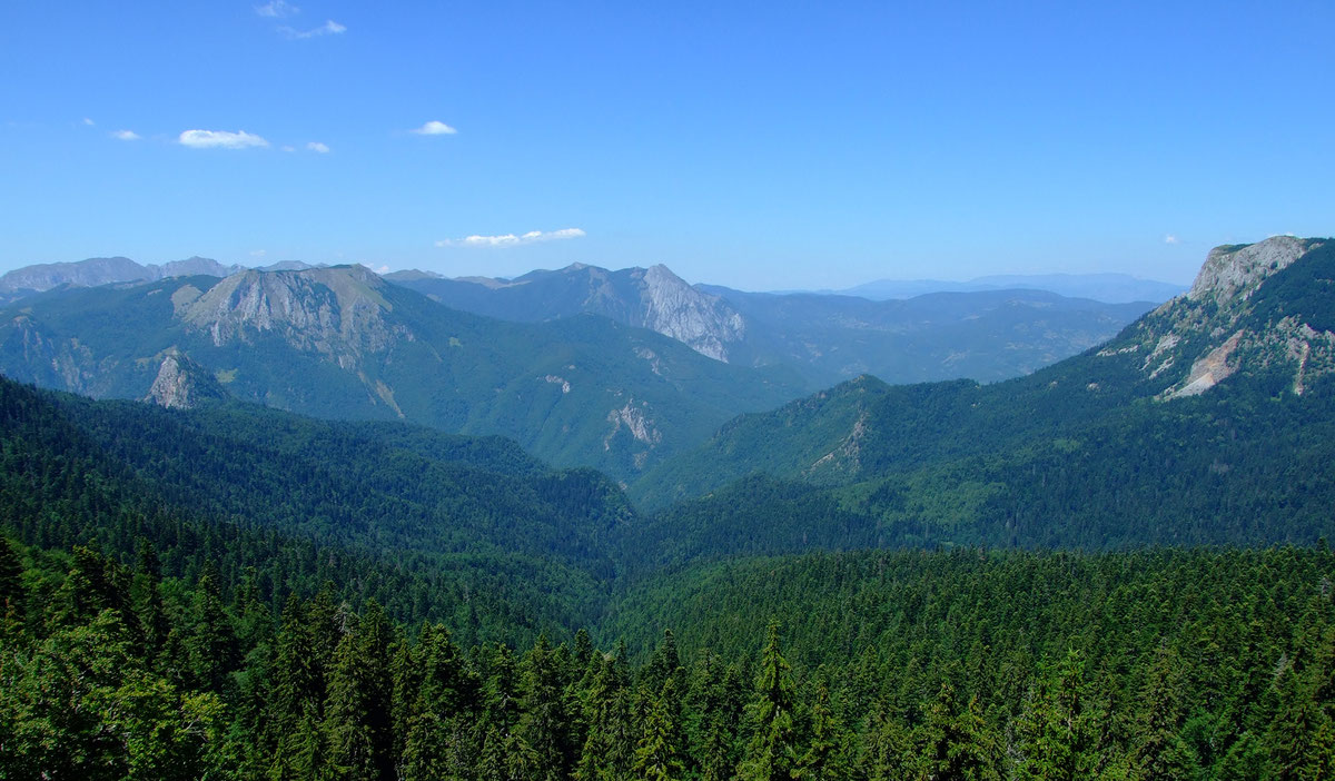 Prašuma Perućica