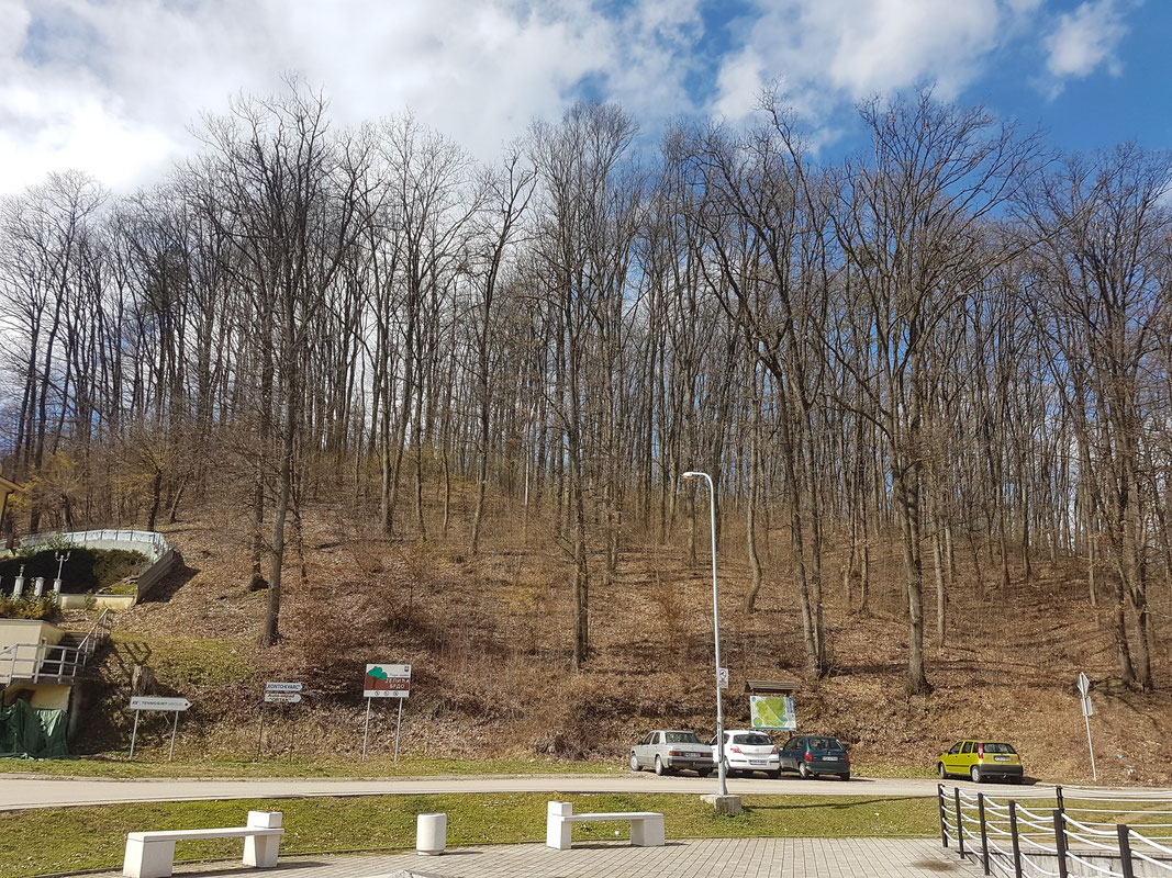 Park šuma