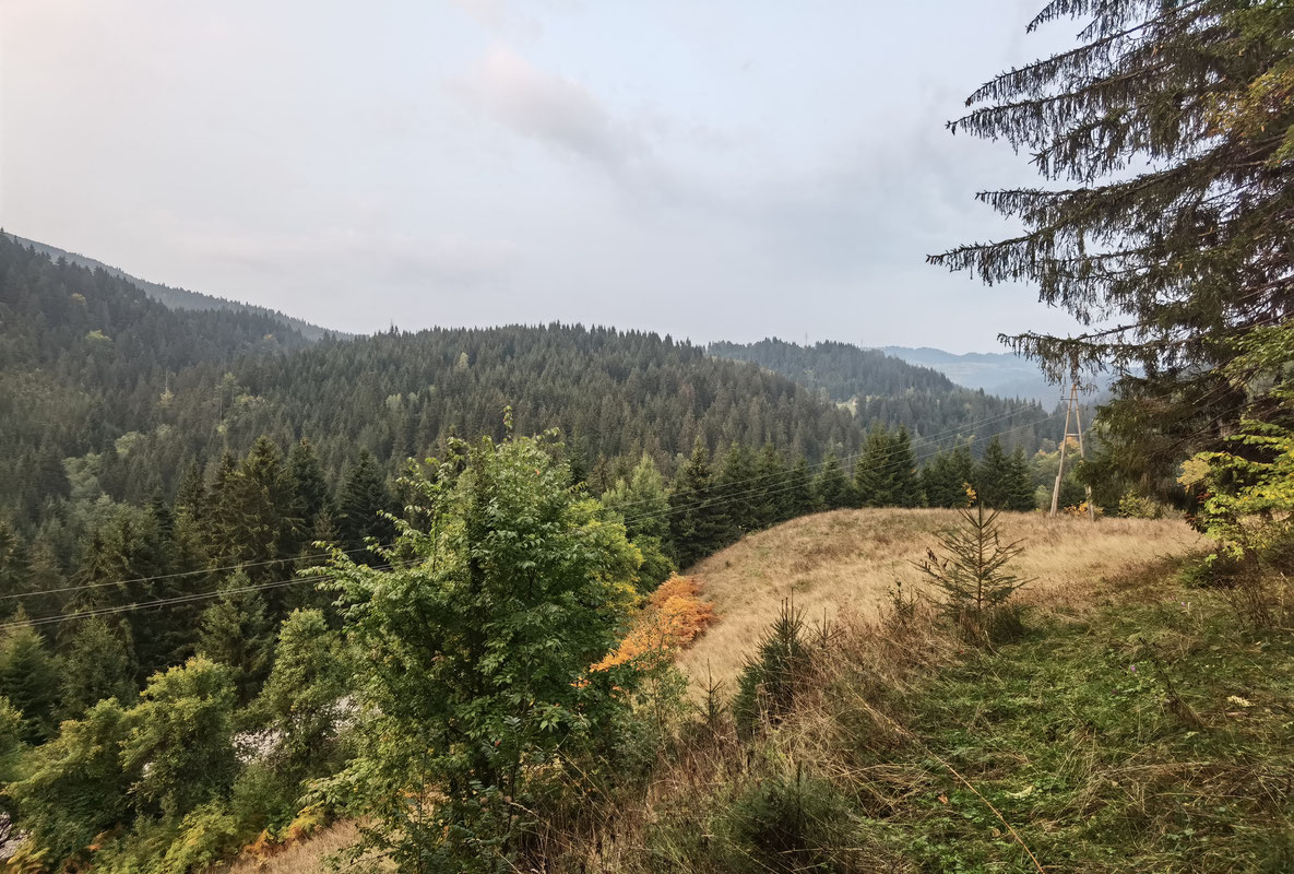 Cicelj