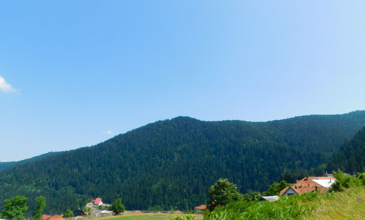 Cicelj