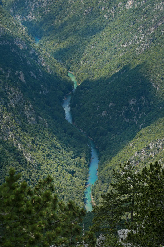 Rijeka Tara
