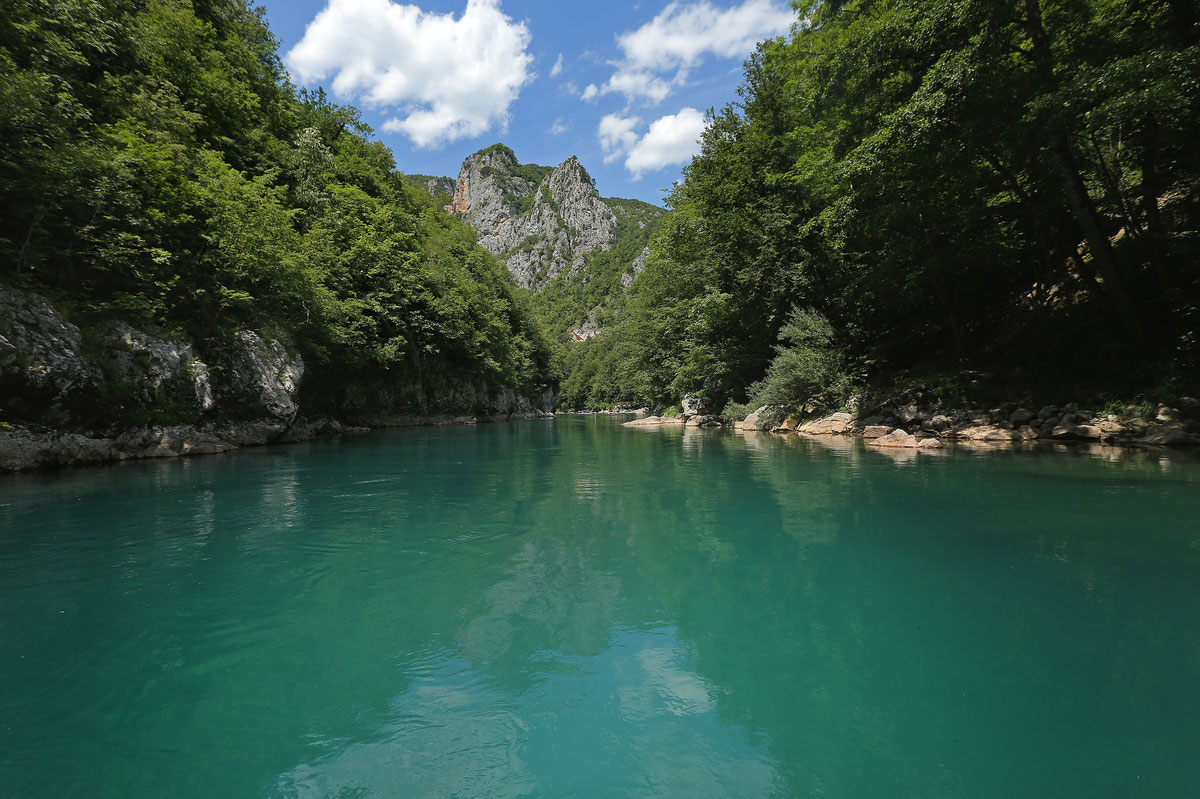Rijeka Tara