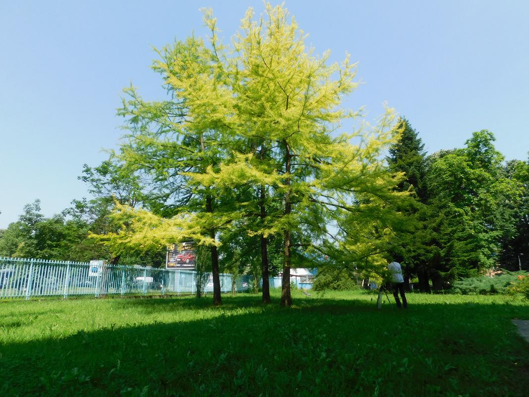 Univerzitetski grad