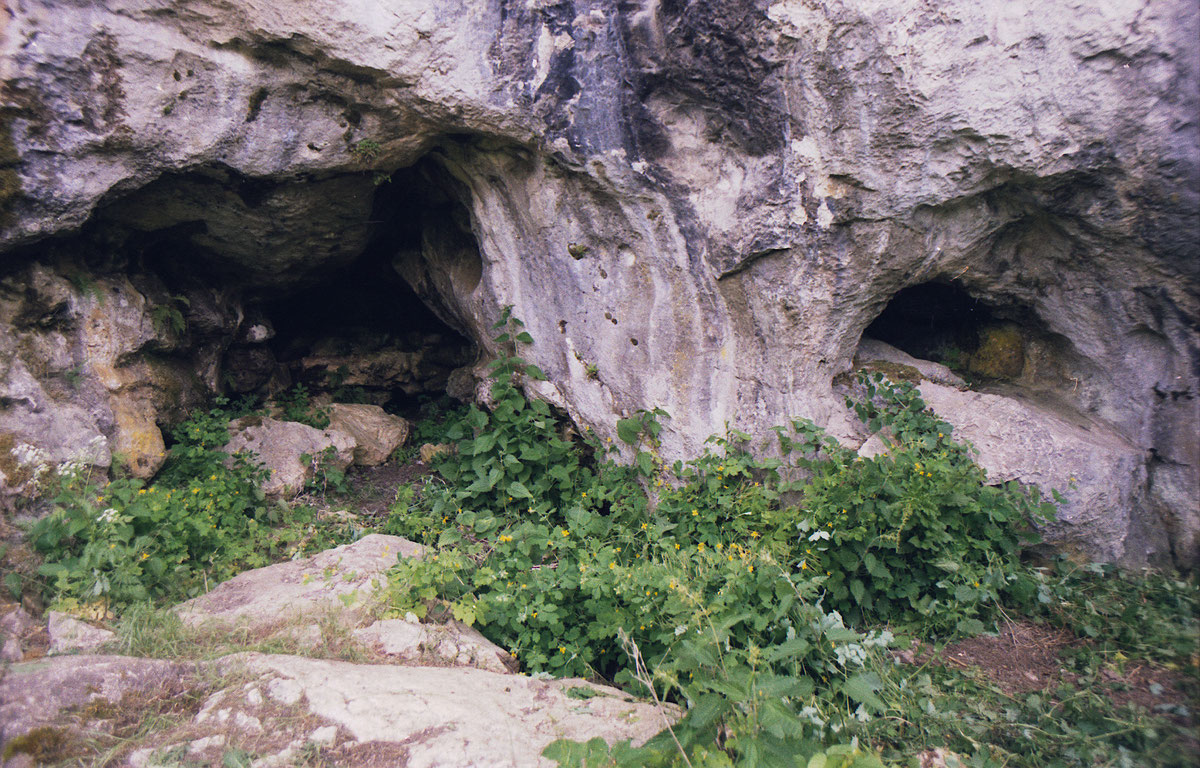 Potkapina