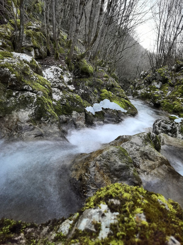 Rijeka Korana
