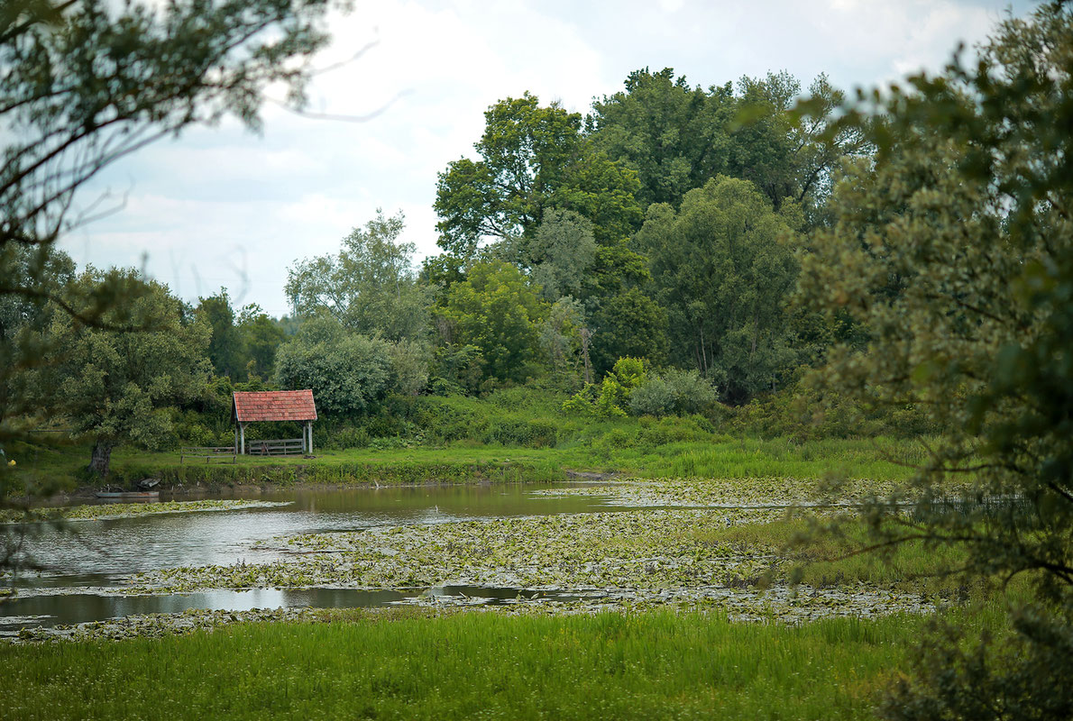 Tišina