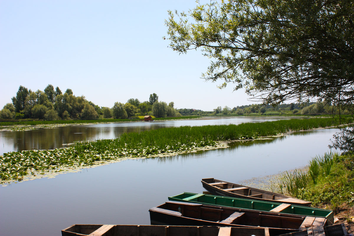 Velika Tišina